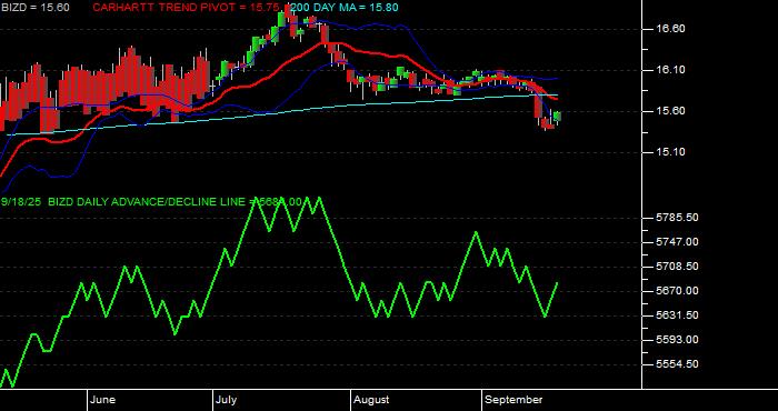 Volume / Composite Volume for the VanEck BDC Income ETF - Daily Data Period