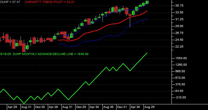 Volume / Composite Volume for the Dimensional US High Profitability ETF - Monthly Data Period