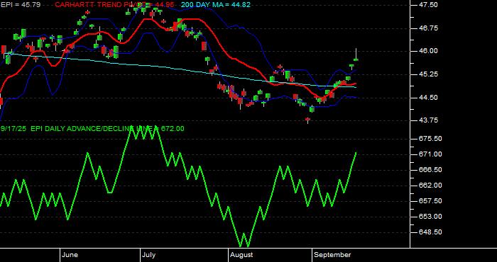  Volume / Composite Volume for the WisdomTree India Earnings Fund ETF - Daily Data Period