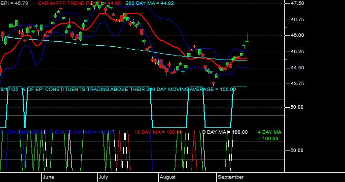  Volume / Composite Volume for the WisdomTree India Earnings Fund ETF - Daily Data Period