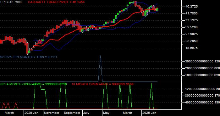  Volume / Composite Volume for the WisdomTree India Earnings Fund ETF - Monthly Data Period