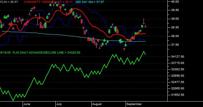 Volume / Composite Volume for the Franklin FTSE India ETF - Daily Data Period