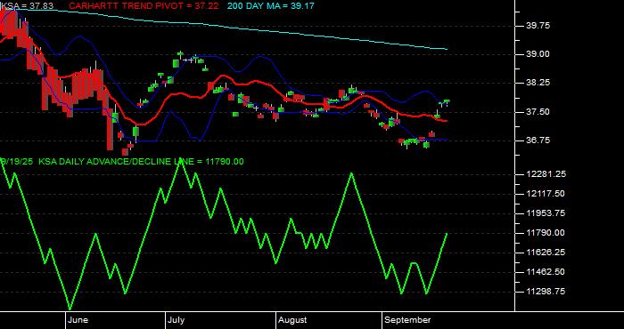 Volume / Composite Volume for the iShares MSCI Saudi Arabia Capped ETF - Daily Data Period