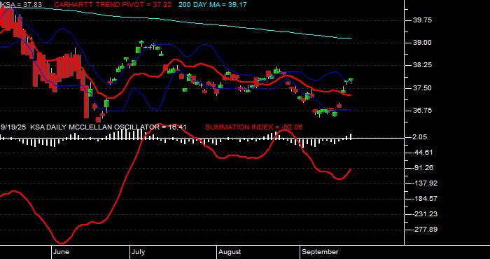 Volume / Composite Volume for the iShares MSCI Saudi Arabia Capped ETF - Daily Data Period