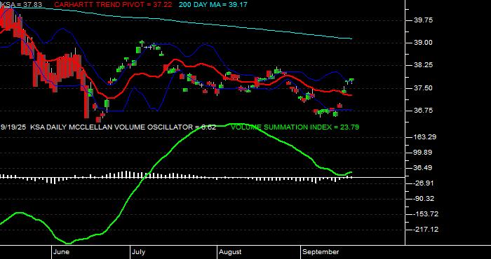  Volume / Composite Volume for the iShares MSCI Saudi Arabia Capped ETF - Daily Data Period
