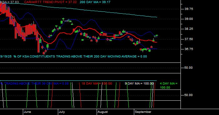  Volume / Composite Volume for the iShares MSCI Saudi Arabia Capped ETF - Daily Data Period