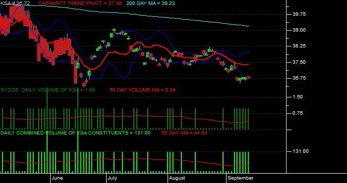 Volume / Composite Volume for the iShares MSCI Saudi Arabia Capped ETF - Daily Data Period
