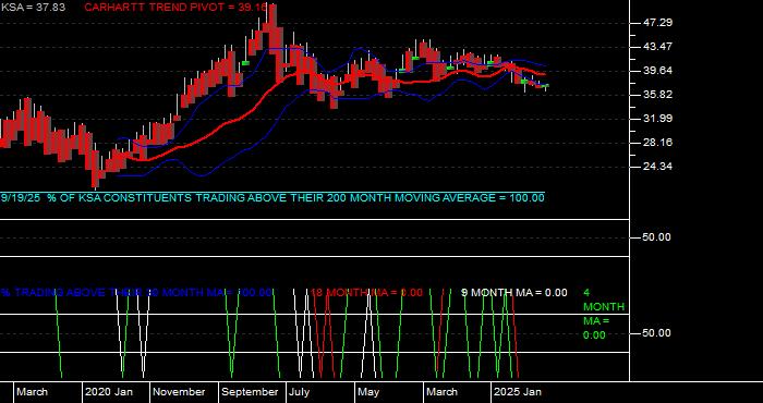  Volume / Composite Volume for the iShares MSCI Saudi Arabia Capped ETF - Monthly Data Period